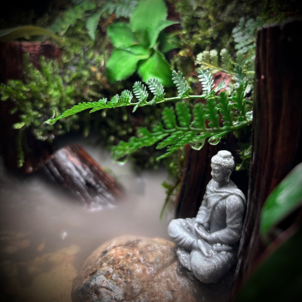 Raining Forest Buddha-3