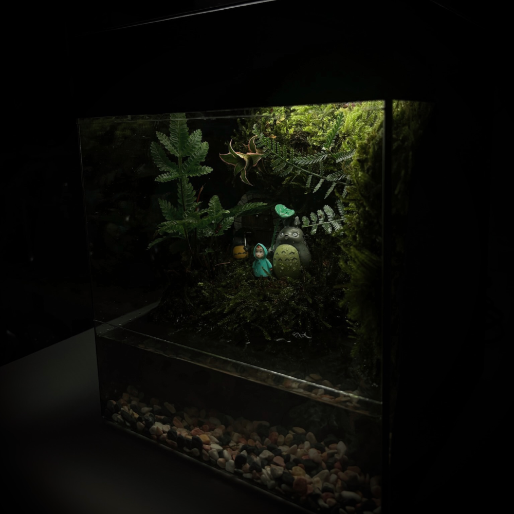 Raining Forest Totoro-2
